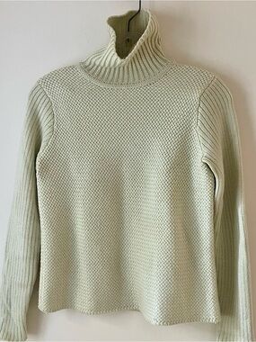 Eileen Fisher Petite Merino Wool Turtleneck Sweater PS Green